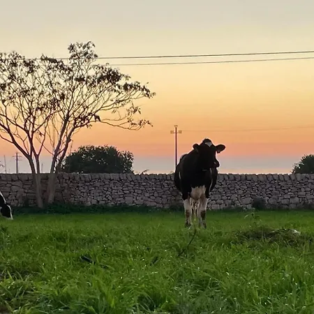 La Cascina Di Stefania *