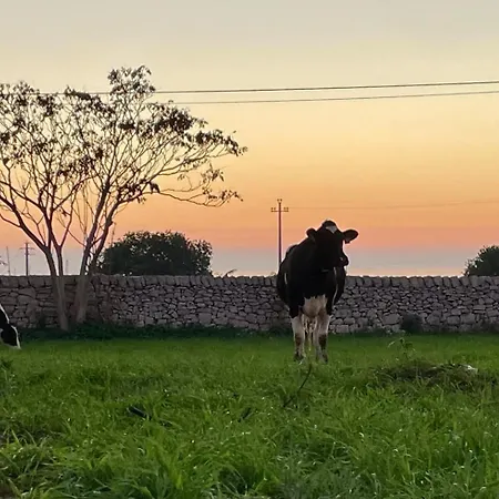 La Cascina Di Stefania *