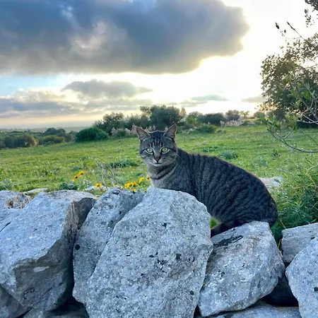 La Cascina Di Stefania *
